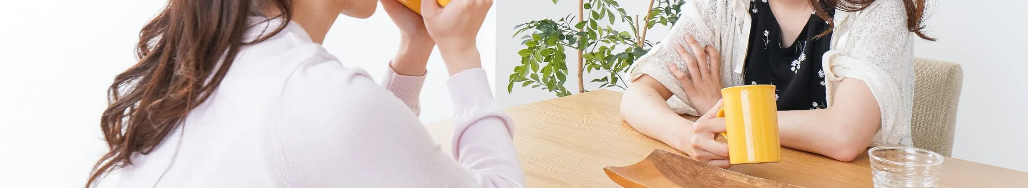 ご家族・ご友人紹介制度