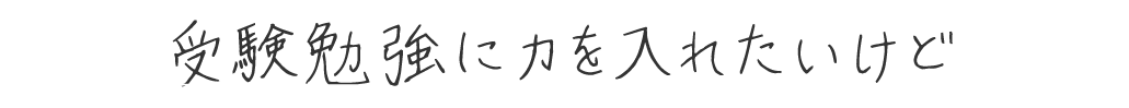 受験勉強に力を入れたいけど