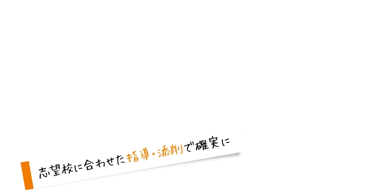 志望校に合わせた指導・添削で確実に