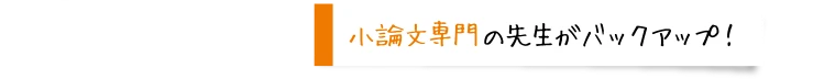 小論文専門の先生がバックアップ