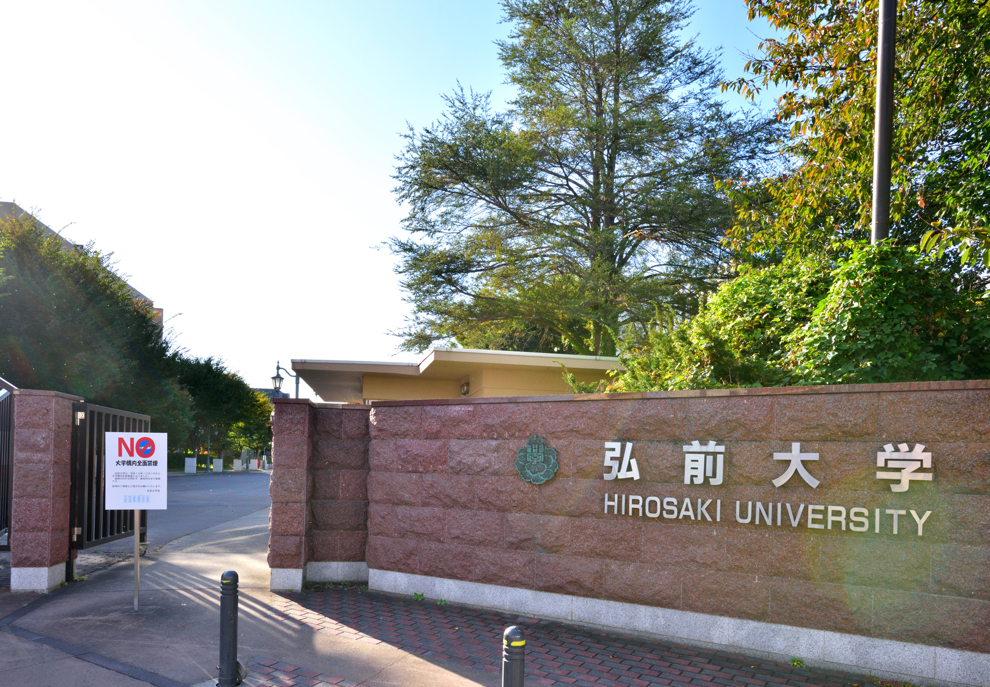 弘前大学|医学部受験情報の傾向と対策 | Axisのオンライン家庭教師・個別指導